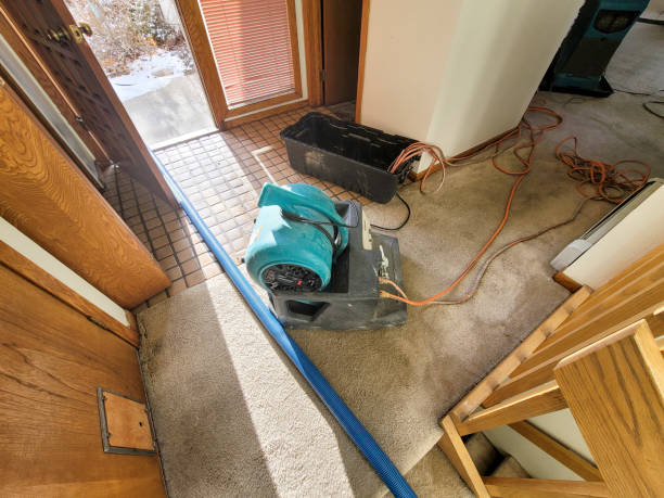 Best Water damage restoration insurance claims  in North Tustin, CA