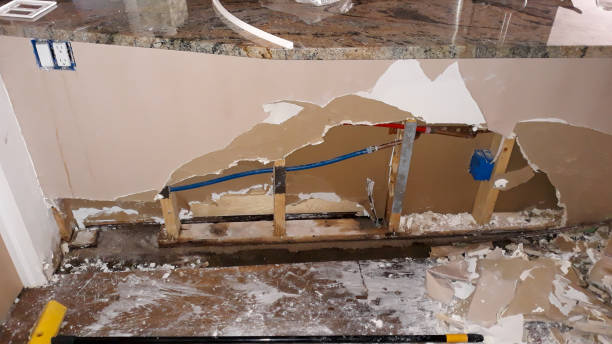 Best Commercial water damage restoration  in North Tustin, CA