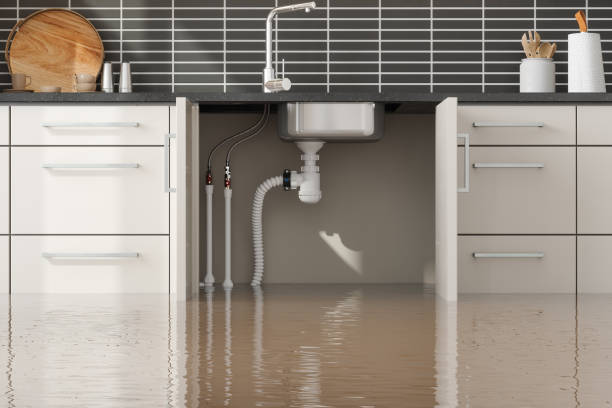 Best Water damage restoration services  in North Tustin, CA